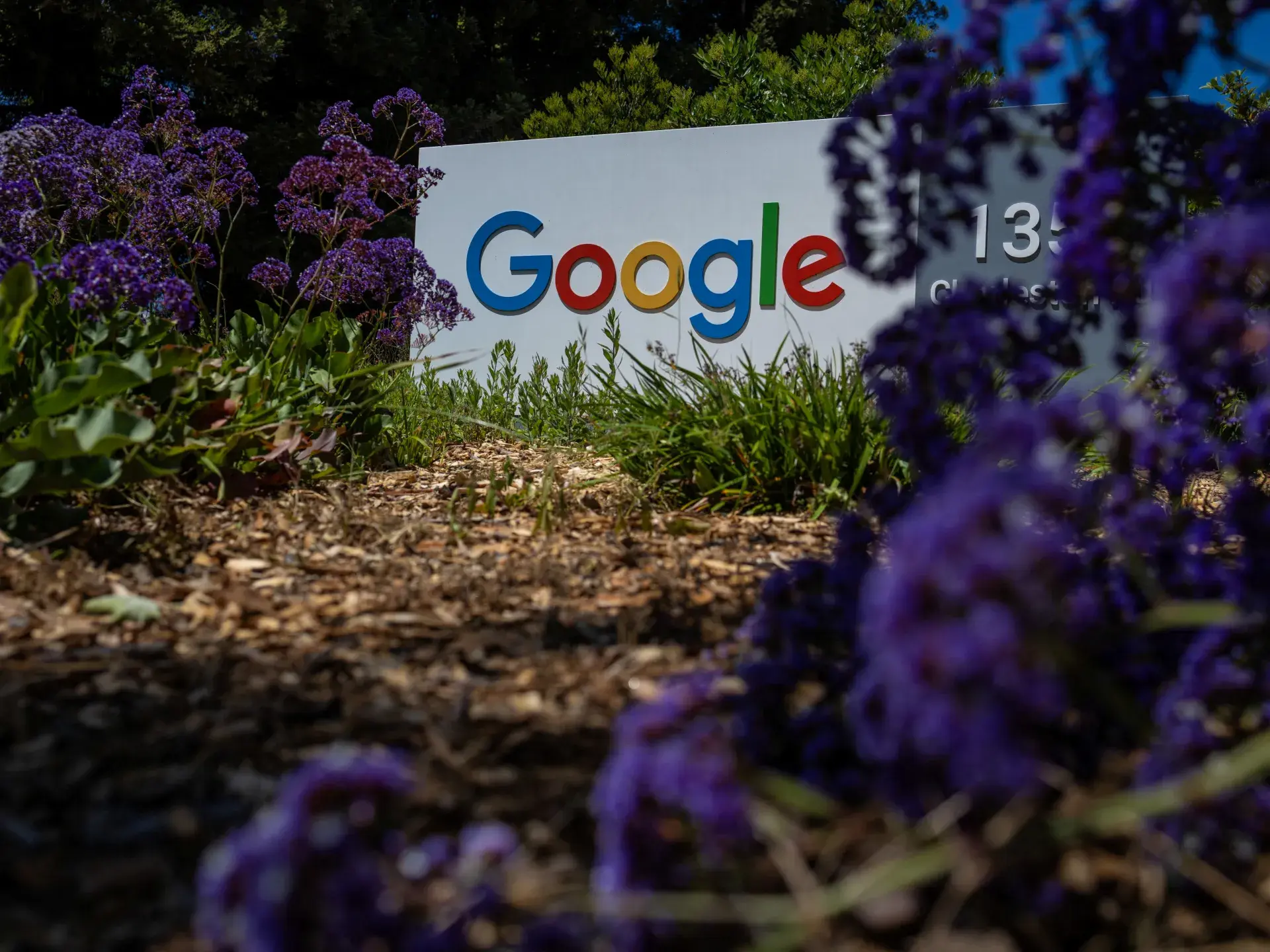 Mühafizəkar Fəal Google-u Süni İntellekt Bəyanatlarına Görə Məhkəməyə Verdi